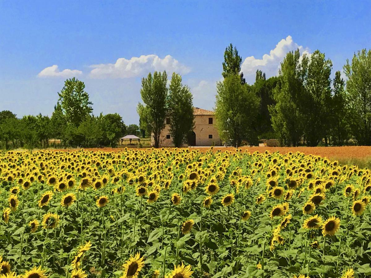 Villa Licinia Foligno Zewnętrze zdjęcie