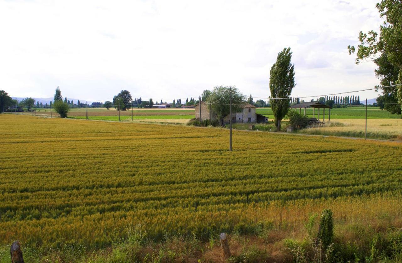 Villa Licinia Foligno Zewnętrze zdjęcie
